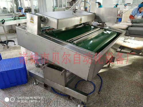 滾動(dòng)式高效鎖鮮 山東諸城貝爾廠家直銷休閑食品真空包裝機(jī)械